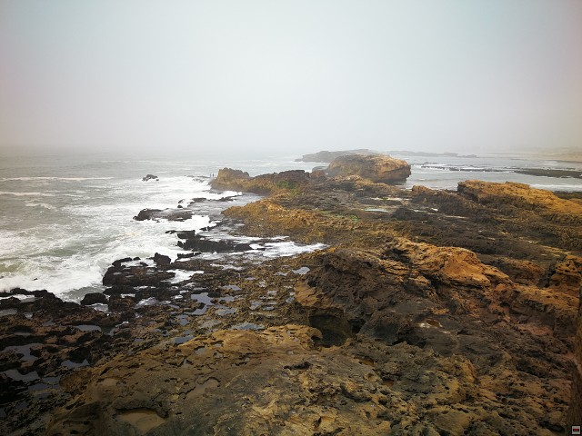 img00045.jpg