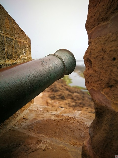 img00047.jpg