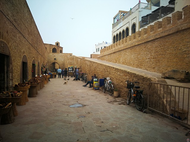 img00061.jpg