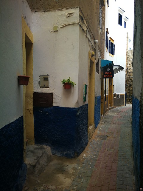 img00064.jpg