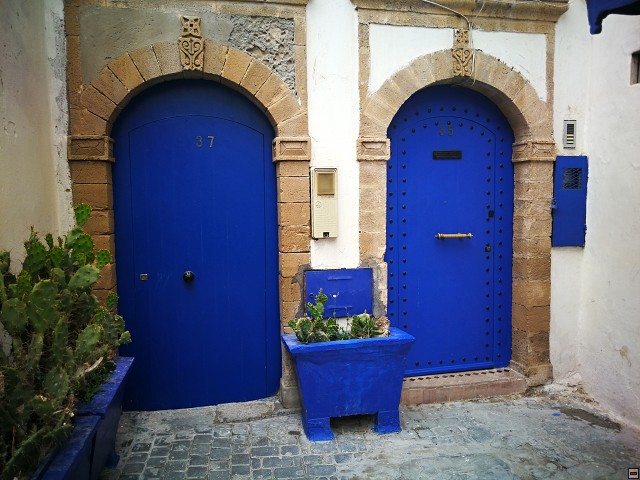 img00066.jpg