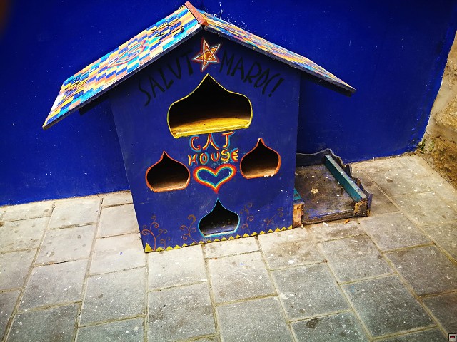 img00081.jpg