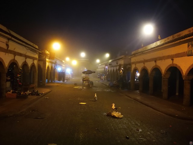 img00098.jpg