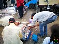 thn00018.jpg