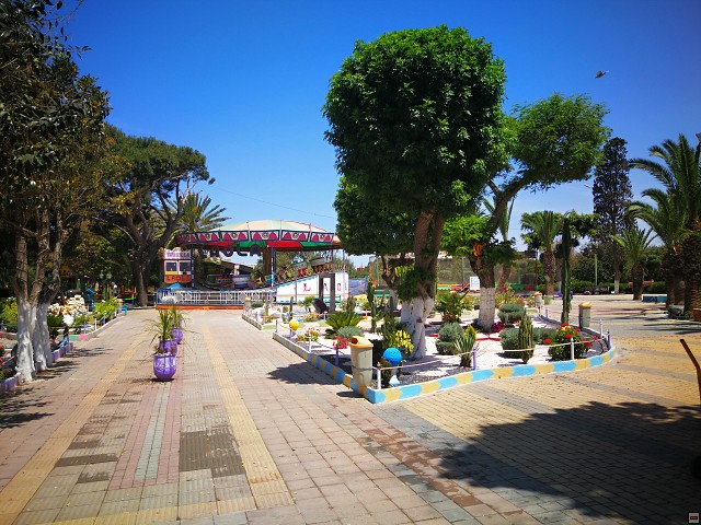img00016.jpg