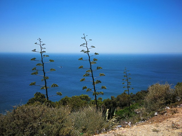 img00018.jpg