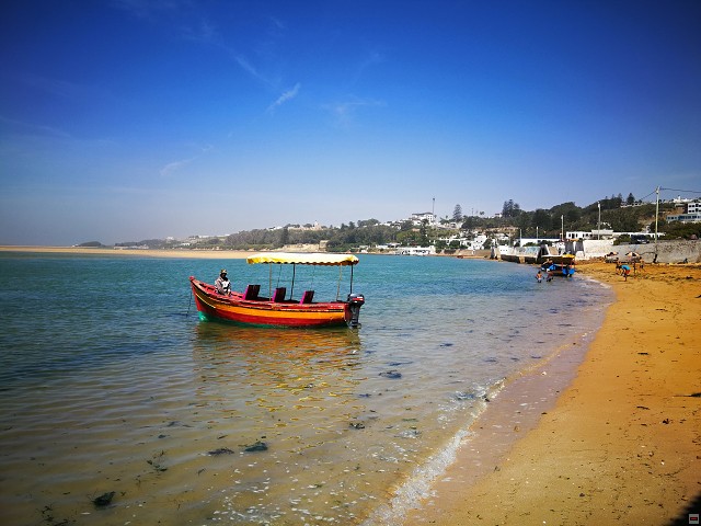 img00019.jpg