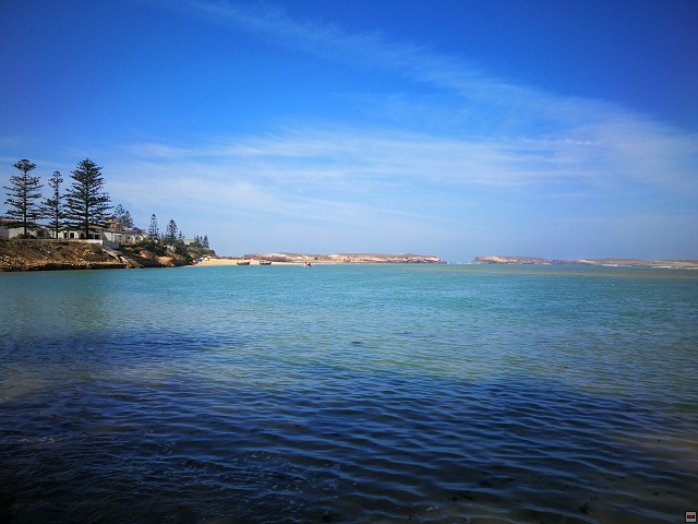 img00020.jpg