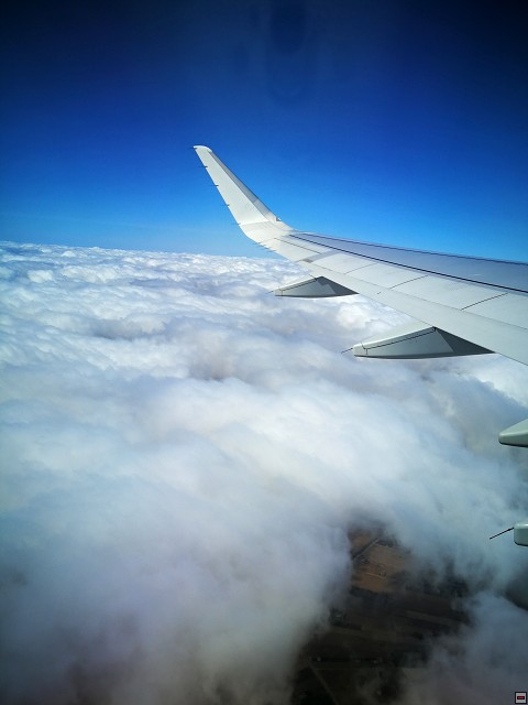 img00003.jpg