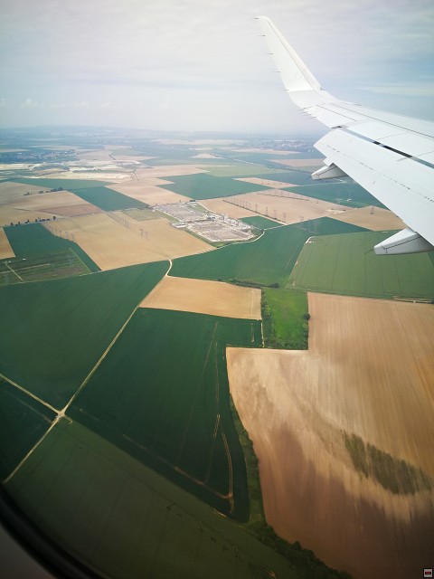 img00007.jpg