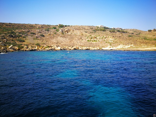img00005.jpg