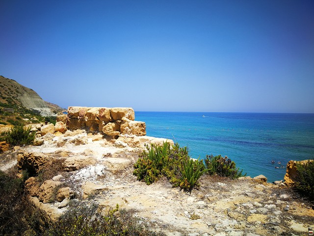 img00017.jpg