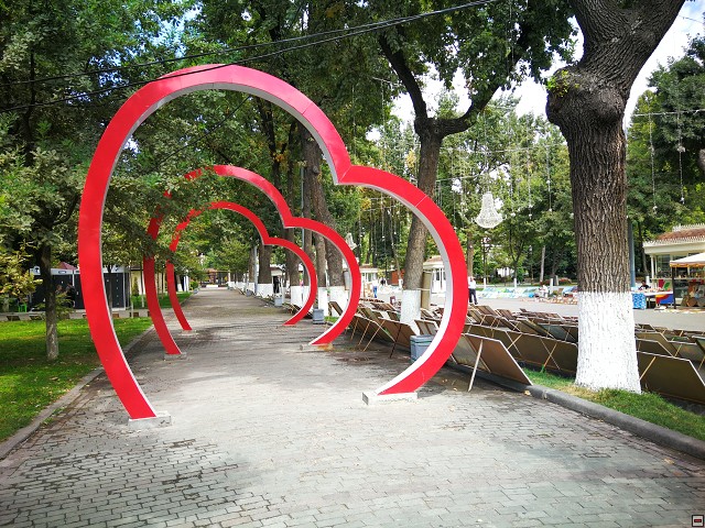 img00006.jpg