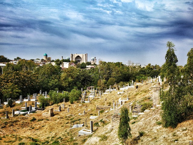 img00005.jpg