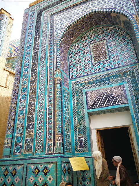 img00007.jpg