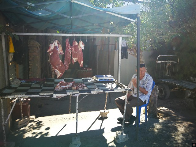 img00007.jpg