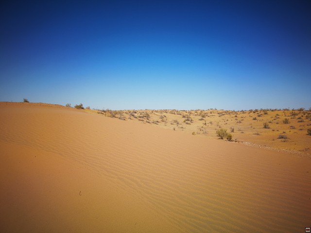 img00004.jpg