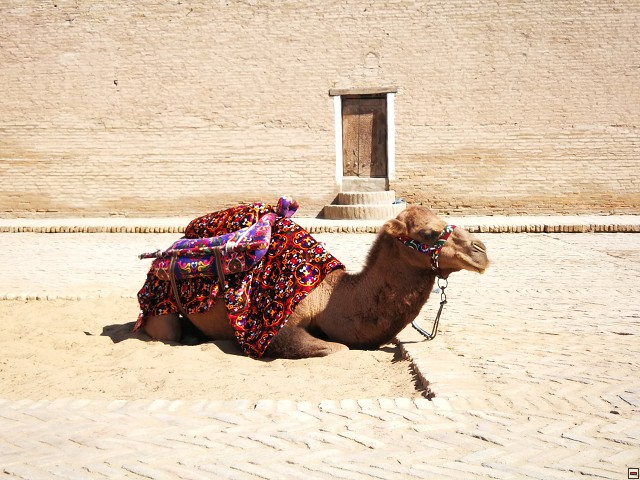 img00014.jpg