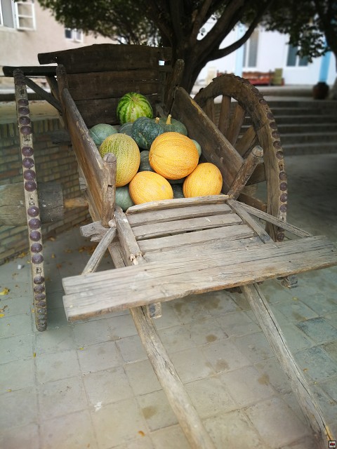 img00055.jpg