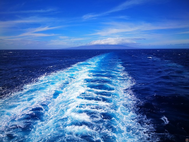 img00010.jpg