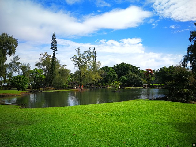 img00005.jpg
