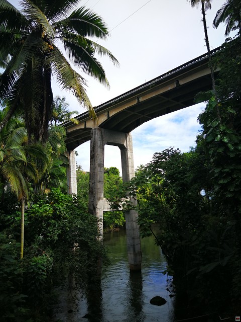 img00009.jpg