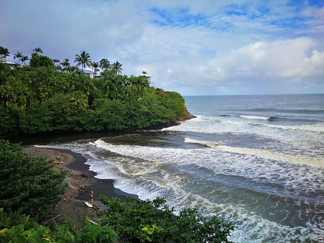 img00011.jpg