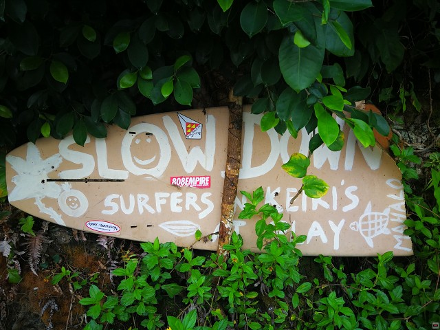 img00013.jpg