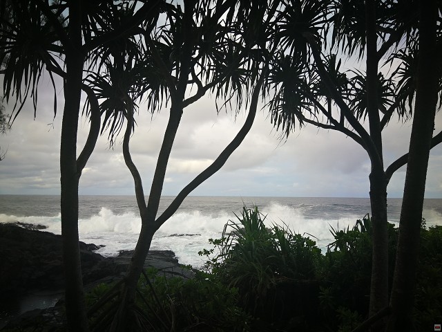 img00056.jpg