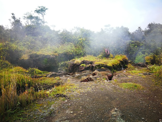 img00003.jpg