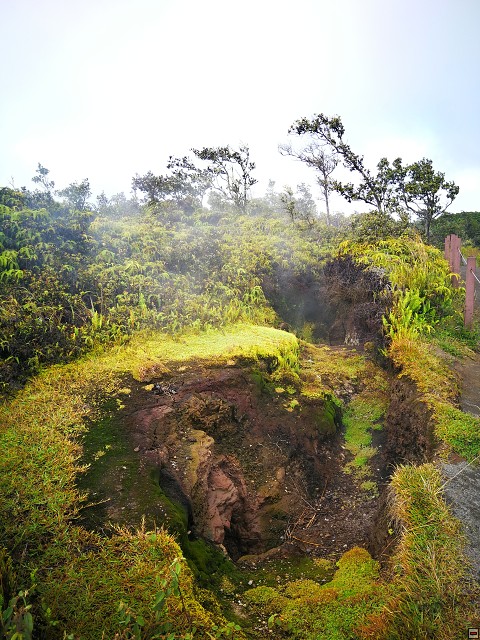 img00006.jpg