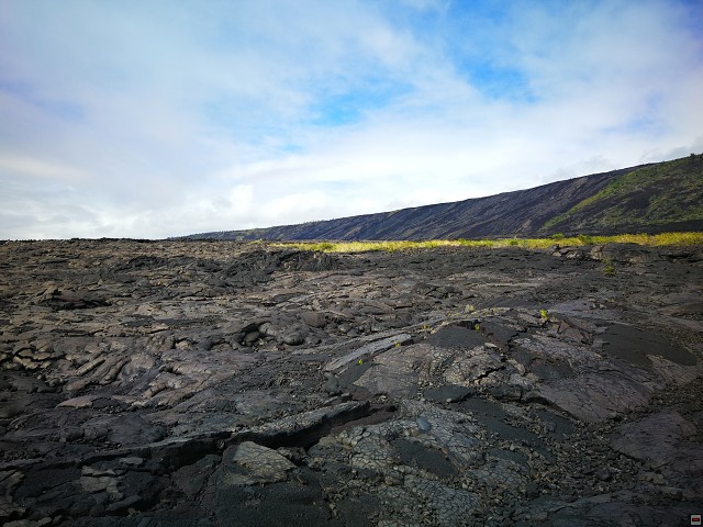 img00011.jpg
