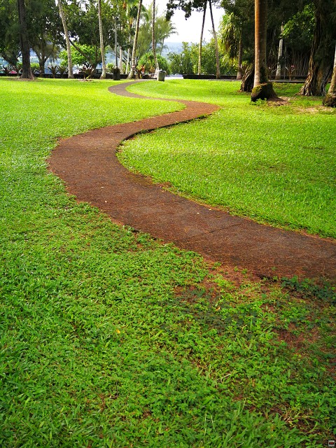 img00035.jpg