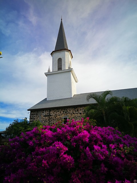 img00010.jpg