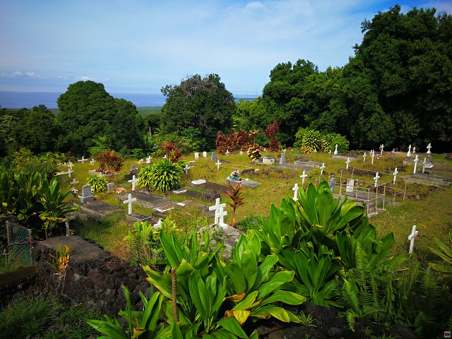img00017.jpg