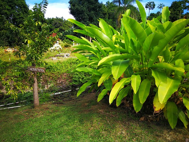 img00023.jpg