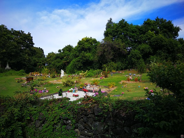img00029.jpg