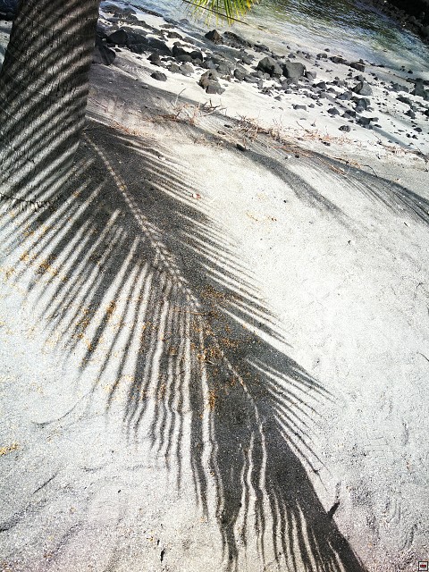 img00036.jpg