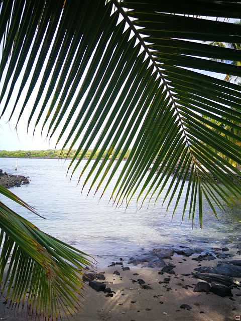 img00037.jpg