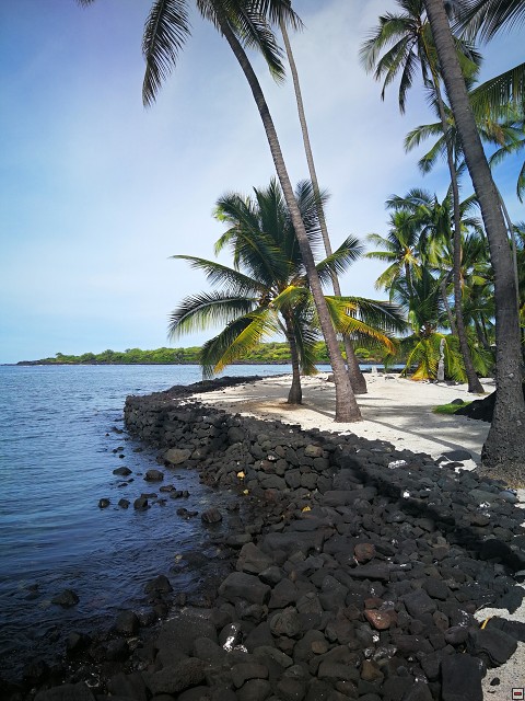 img00041.jpg