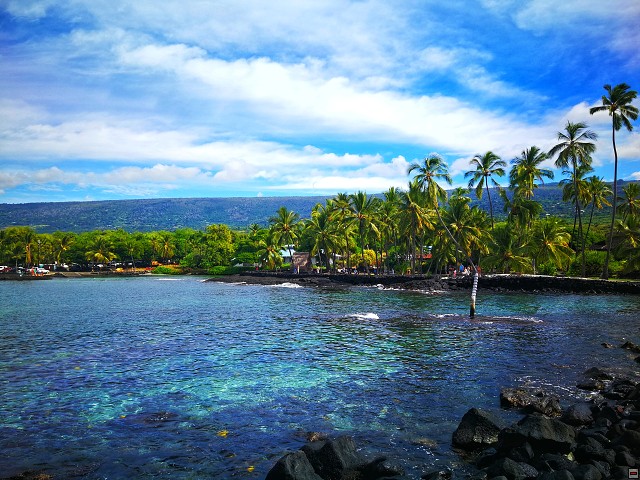 img00042.jpg