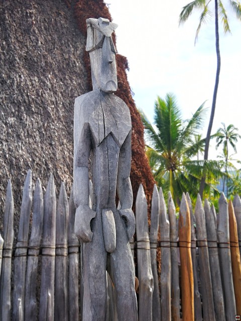img00044.jpg