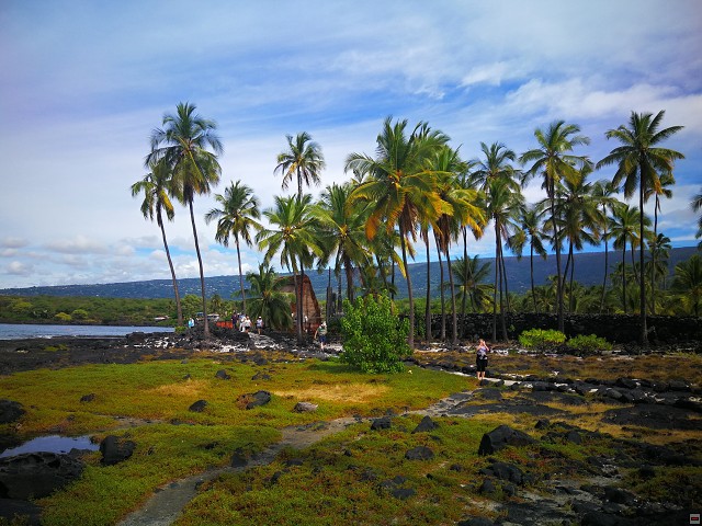 img00045.jpg