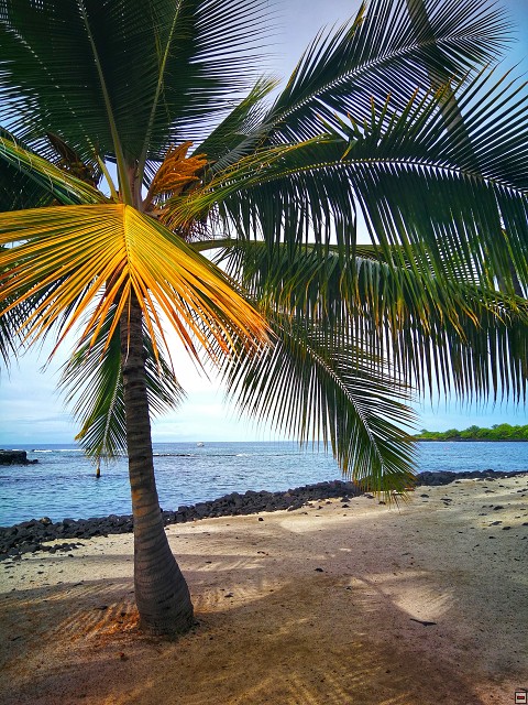 img00048.jpg