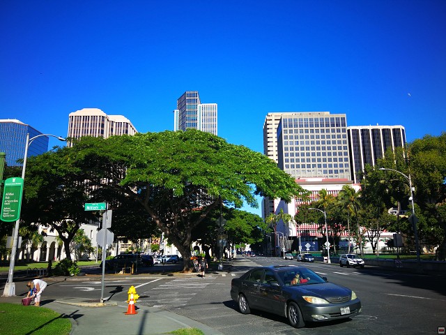 img00007.jpg