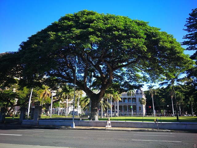 img00008.jpg
