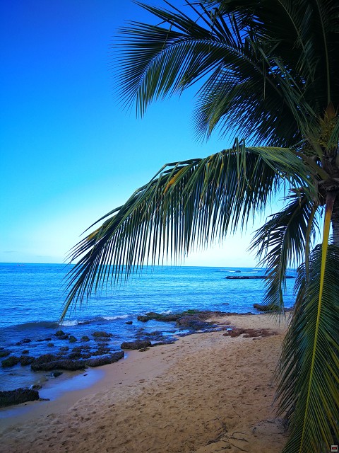 img00035.jpg