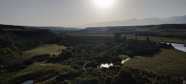 img00005.jpg