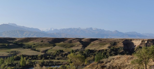 img00007.jpg
