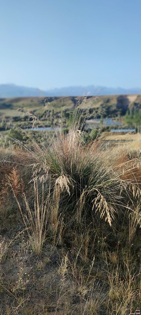 img00008.jpg